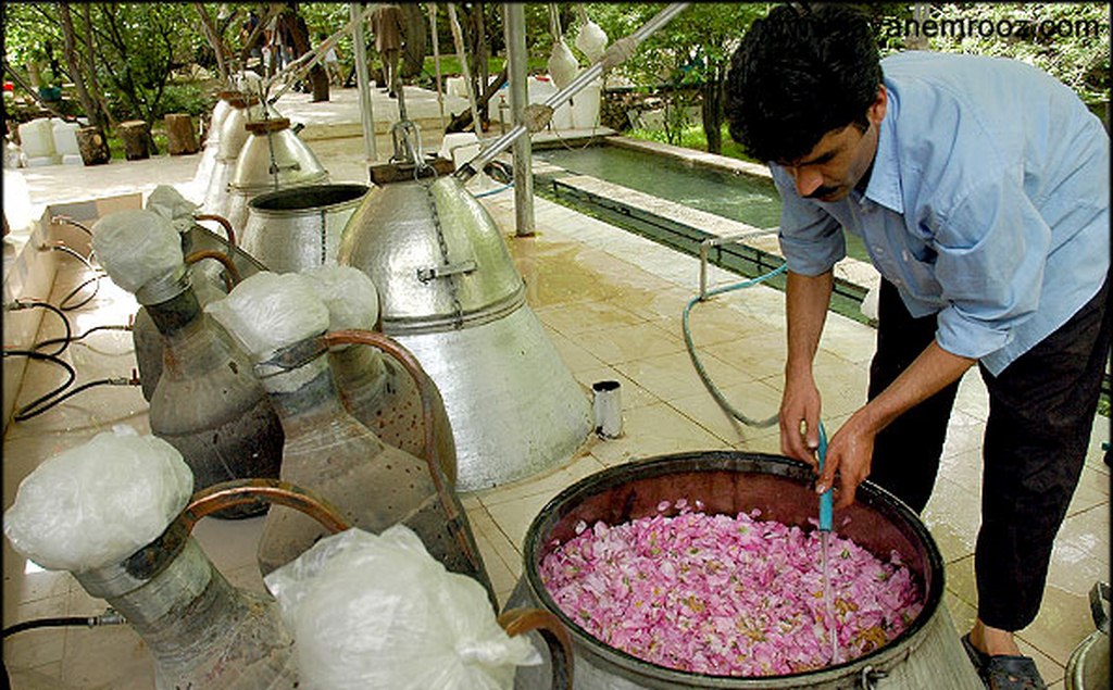 طریقه درست کردن گلاب