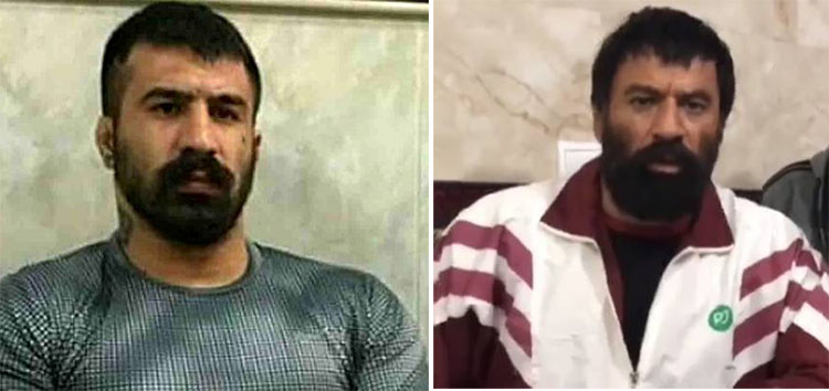شبلهت شخصیت امیر آقایی در شنا پروانه با وحید مرادی