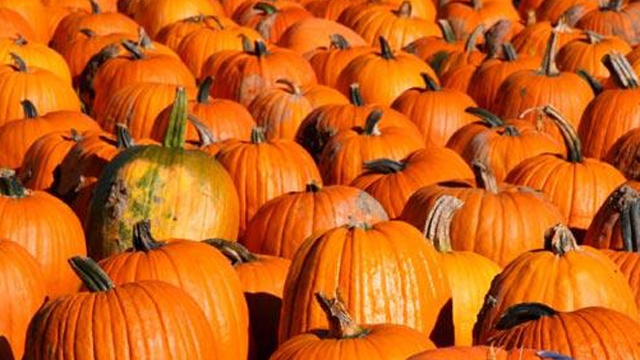 بهترین دستور تهیه خورش کدو تنبل